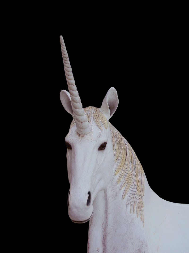 Unicorn gardens